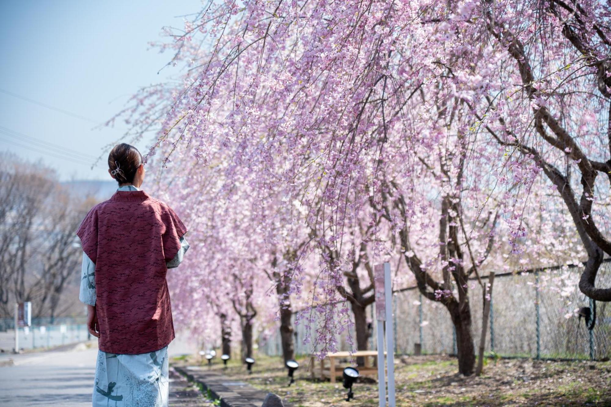 Nunohiki Onsen 코모로 외부 사진